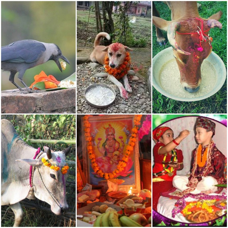 यमपञ्चक (तिहार) आरम्भ